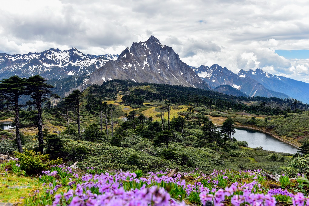 084美丽孔雀山(2).jpg